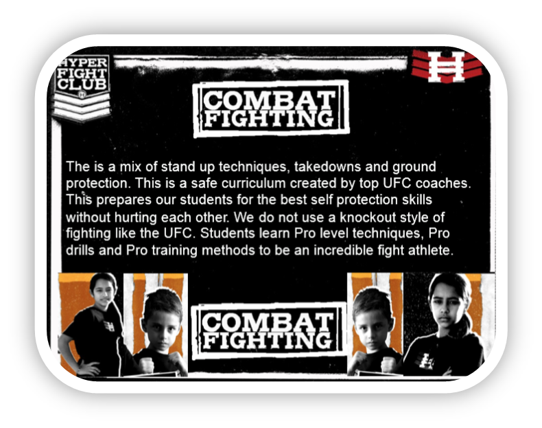 Combat Fighting